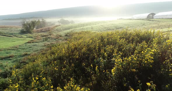 Aerial camera backing away from the rising sun showing fog, mountains, greenhouses, and large copse alt