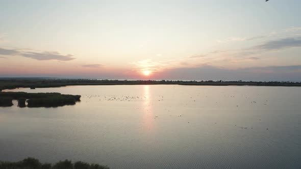 Drone View of Wetland in National Park at Sunset alt
