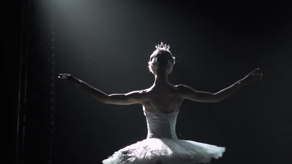 Classical Ballet Choreography Perfoming By Young Beautiful Graceful Ballerina in White Tutu alt