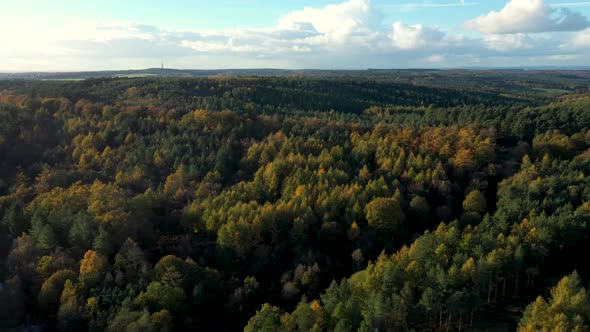 Drone shot of countryside and forest wood in autumn at sunset