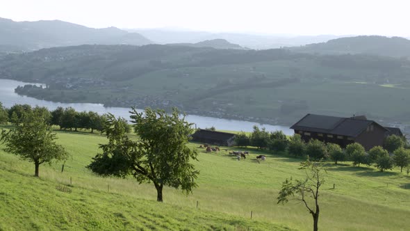 Farm with Rich Pasture on the Background of Alpine Mountains, Switzerland.