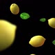 Alpha channel lemons - VideoHive Item for Sale