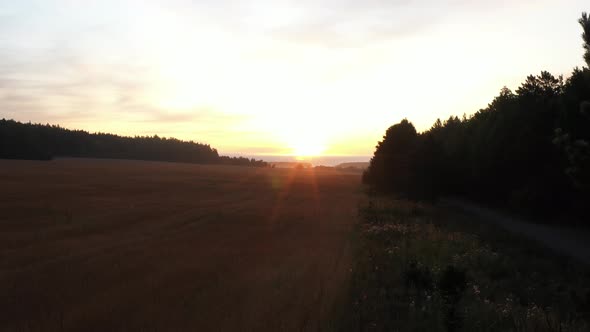 Aerial View of Dawn in the Field
