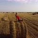 Girl On Hay Bales - VideoHive Item for Sale