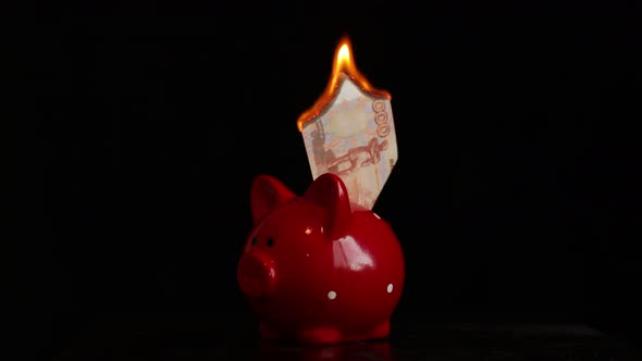 Burning 5000Th Banknote in Red Pig Piggy Bank on a Black Background