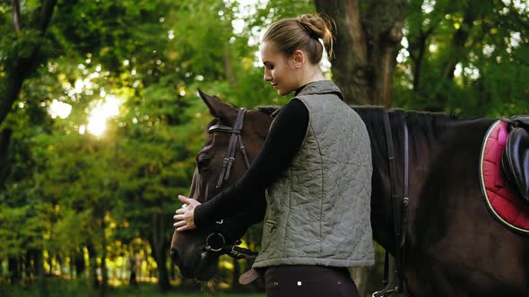 Back View of a Young Woman Stroking Brown Horse with White Spot on Forehead in Park During Sunny Day alt