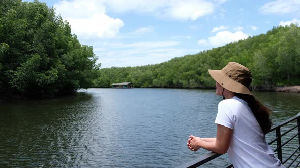 Rear view blurred of a woman looking at mangrove forest and sea