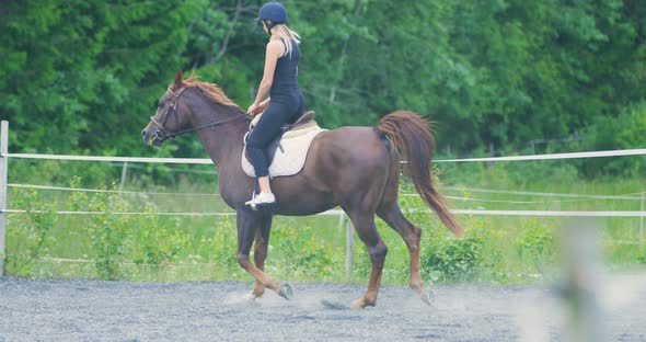 Beautiful Young Woman Riding Her Arabian Horse at Farm