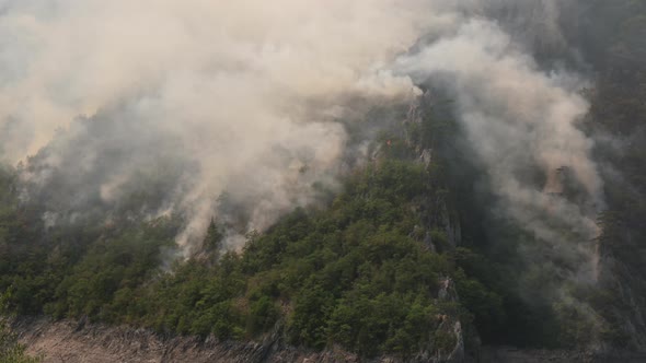 Wild Fire Over Mountain Forest Near Lake Piva in Montenegro in August of 2021 alt