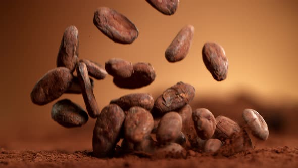 Super Slow Motion Shot of Raw Chocolate Beans Falling Into Cocoa Powder at 1000Fps alt