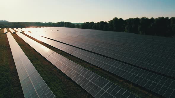 Aerial View of Solar Farm on the Green Field at Sunset Time Solar Panels in Row alt