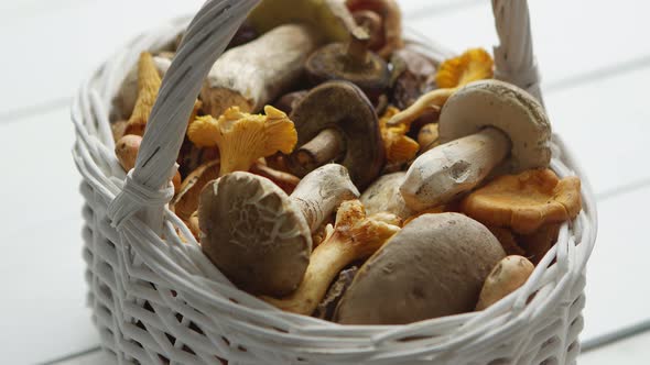 Basket with Different Kind of Forest Mushrooms on a White Wooden Background. alt