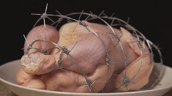 Genetically Modified Organism alt