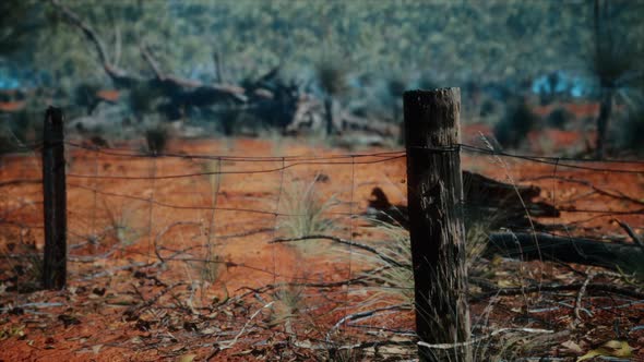 Old Rusted Small Farm Fence alt