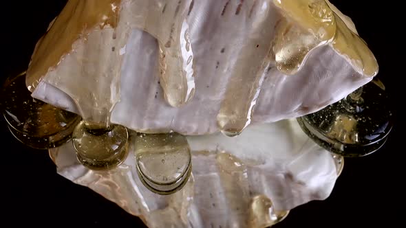 Drops of honey dripping from Brie cheese on a mirrored black background. alt