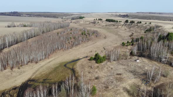 40 Spring Landscape