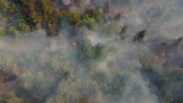 Fire in the forest aerial view. Cinematic aerial shot fire in the forest. alt