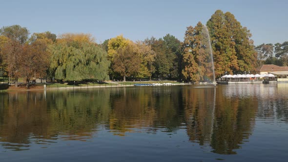 Reflections on pond water in the  park by autumn 3840X2160 UltraHD  footage - Colorful natural scene alt
