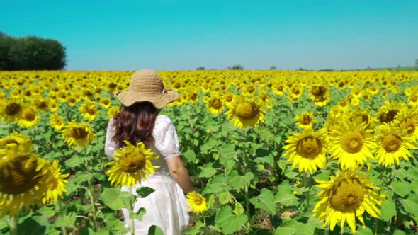 slow-motion of cheerful woman walking and enjoying with sunflower field alt