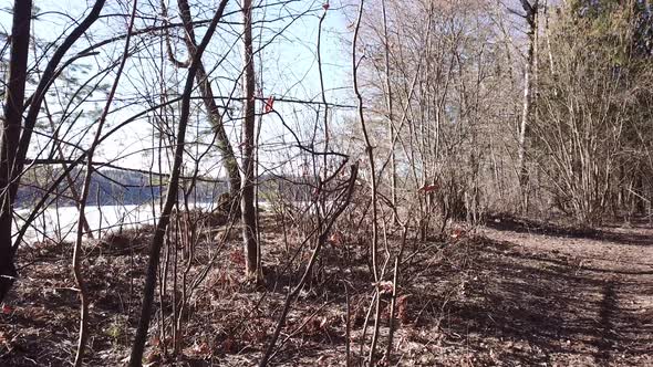 Between The Quarry And The River Western Dvina 54 alt