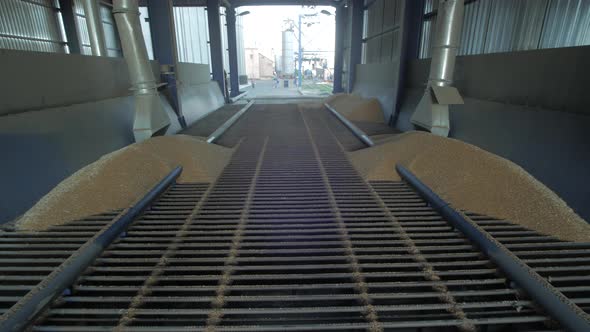 Wheat pile on a grilled surface alt