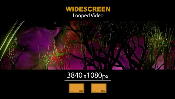 Widescreen Abstract Tree Rotating 05