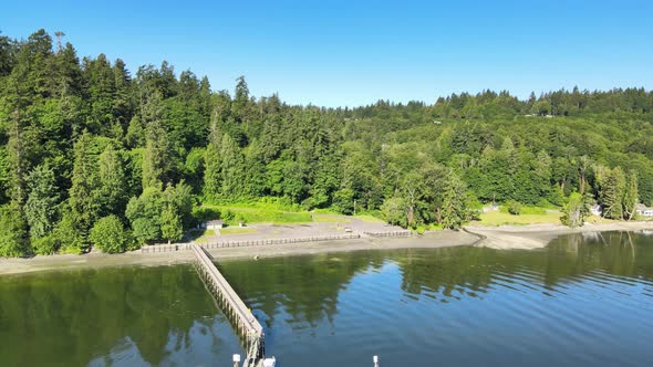 Dock pier with lush green trees on ocean lake coast, blue sky reflection on calm green water alt