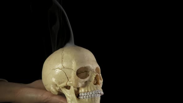 A skull on human hand. alt