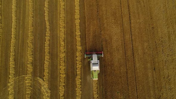 The Lone Harvester Slowly Harvests the Grain of Ripe Wheat