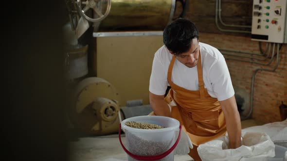 young man working in a coffee roaster is scooping coffee beans, weighing them for roasting,