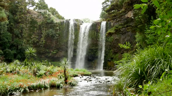 The Whangarei Falls in New Zealand alt