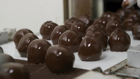 Chocolate truffles on a conveyor belt at candy factory