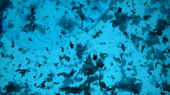 Underwater Footage of Plastic Pollution Problem Concept in Ocean alt