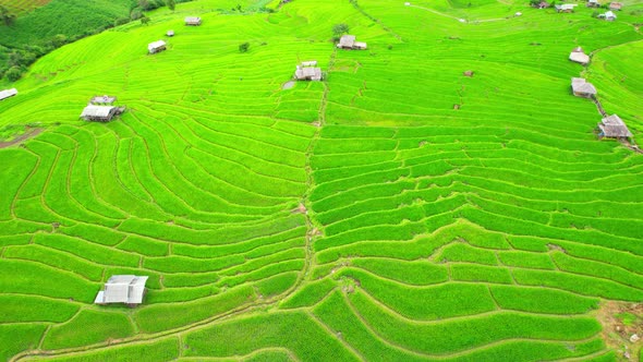 Aerial view of drones flying over rice terraces alt