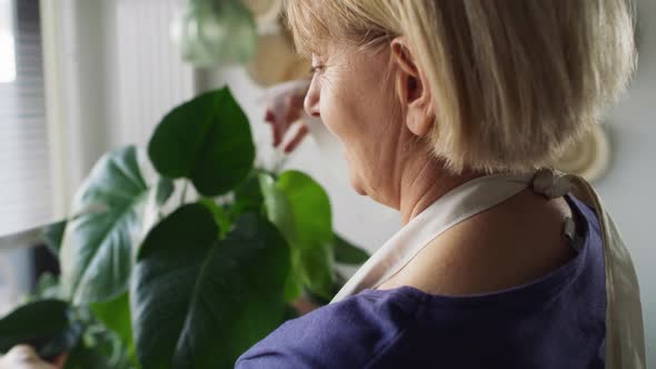Close up of senior woman spraying  potted plant. Shot with RED helium camera in 8K. alt