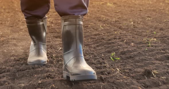 Agricultural Business alt