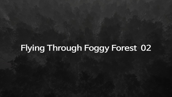 Flying Through Foggy Forest 02 alt