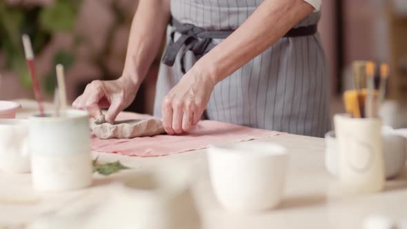 Female Hands Making Earthenware alt