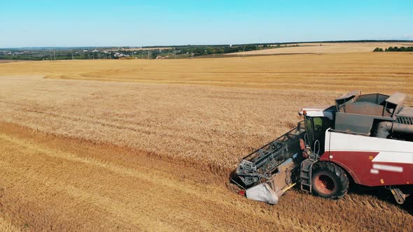 Rye Field Is Getting Reaped By the Agricultural Machine alt