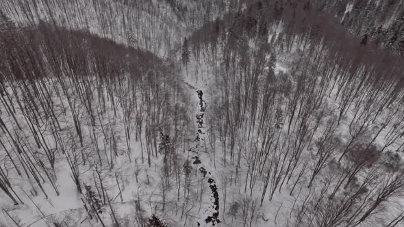 Top View of a River in the Mountains Surrounded By Forest Covered in Snow alt