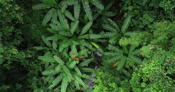Waterfall with beautiful small creek in tropical rainforest of south of Asia alt