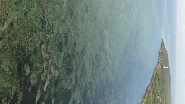 Zanzibar Tanzania  Vertical Video of Low Tide in the Ocean Near the Coast Slow Motion alt