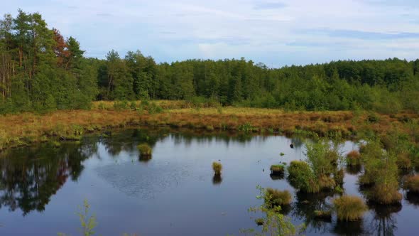 Beautiful natural pond in the wild. Drone shot  alt