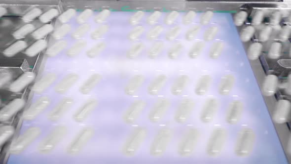 Batches of Capsule are Moving Along the Conveyor in Blisters alt