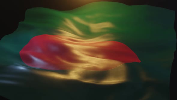 Bangladesh Flag Low Angle View