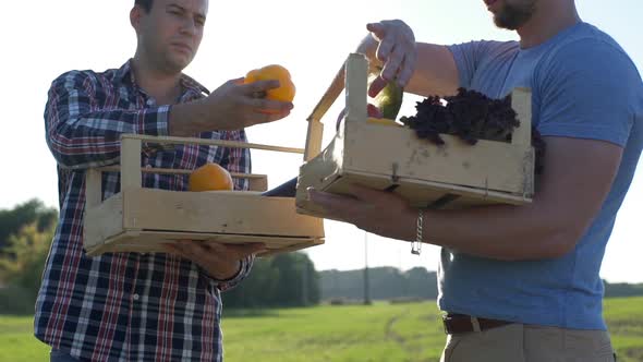 Two Farmers Keep Boxes of Organic Vegetables