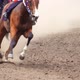 Several Horses Create Dust at the Bend - VideoHive Item for Sale