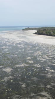 Tanzania  Vertical Video of Low Tide in the Ocean Near the Coast of Zanzibar Slow Motion alt