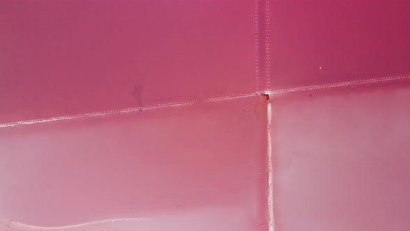 Flying Over a Pink Salt Lake alt