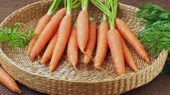 Fresh carrots bunch in basket, root vegetable.